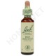 Bach Flower Remedies for Animals - Red Chestnut